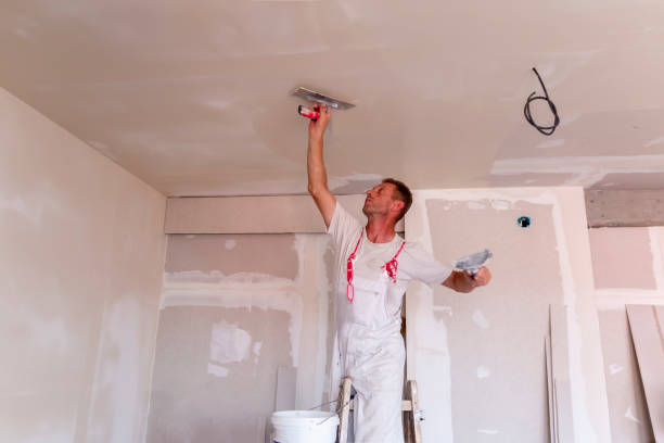 Best Drywall for Remodeling  in USA